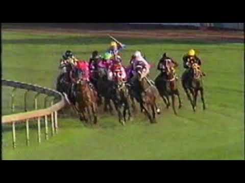 1992 George Ryder Stakes - Kinjite