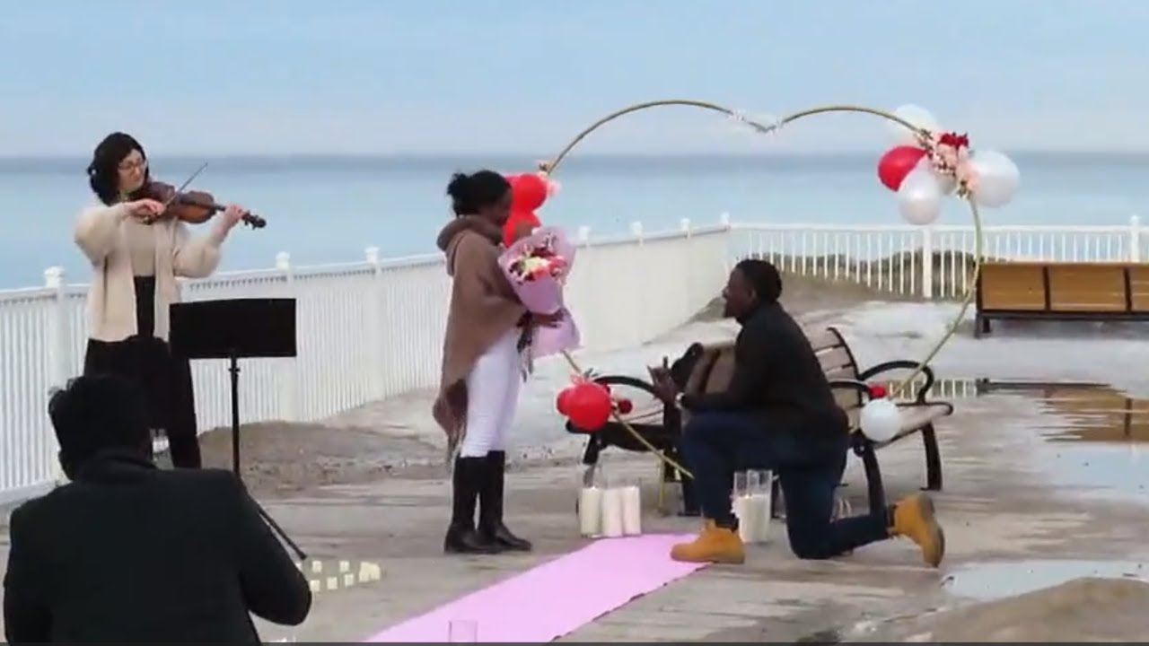 Promotional video thumbnail 1 for Aviva Chertok Li
