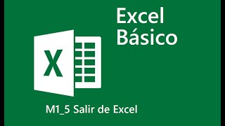 5 Salir de Excel
