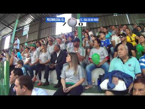 final copa pelezinho estadual 2016