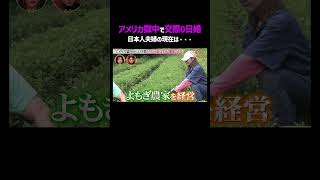アメリカ獄中で交際0日婚した夫婦の現在👀｜「 #ダマってられない女たち 」毎週金曜よる10時〜 #ABEMA で無料放送中🌙 #MEGUMI #剛力彩芽 #ヒコロヒー #ダマ女 #shorts