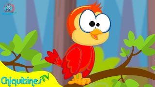 La Pájara Pinta - Canción Infantil