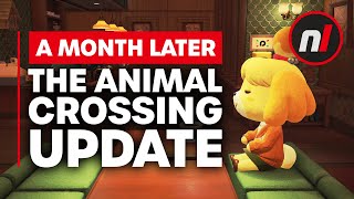 A Month Later - The Animal Crossing Update