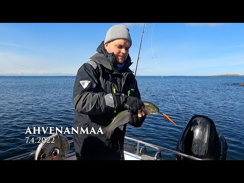 Ahvenanmaa 7.4.2022 - "Meritaimenta heittämällä" - osa 2