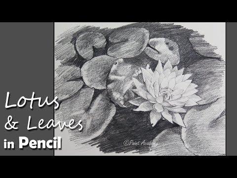 Mountains and Pine Tress Watercolor Pencil Landscape Drawing | steps to follow