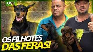 Miniatura do vídeo