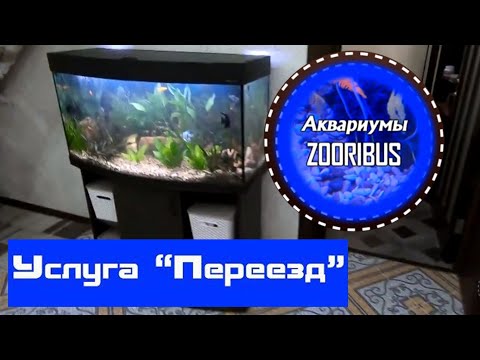 Услуга "переезд аквариума"