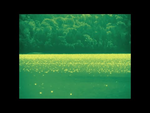 Ajukaja & Mart Avi - Somewhere in Time