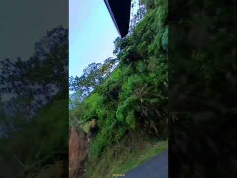 Ricaurte Nariño