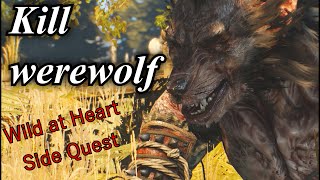 Witcher 3 - How to Kill Werewolf - Wild at Heart Full Side Quest Guide