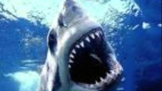 Billy The Themepark Shark~ The Arrogant Worms