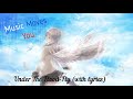 Under The Flood-Fly (with lyrics)