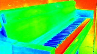 Book of Love (more Tequila) BISHINDIGO