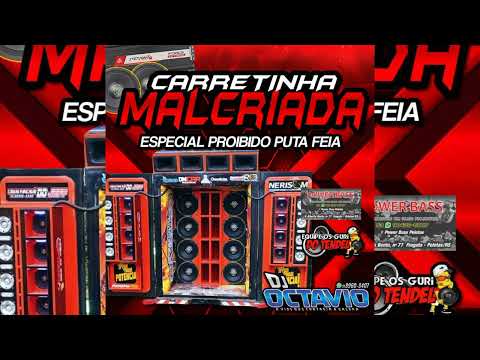 CARRETINHA MALCRIADA (ESPECIAL PROIBIDO PUTA FEIA) - DJ OCTAVIO RS