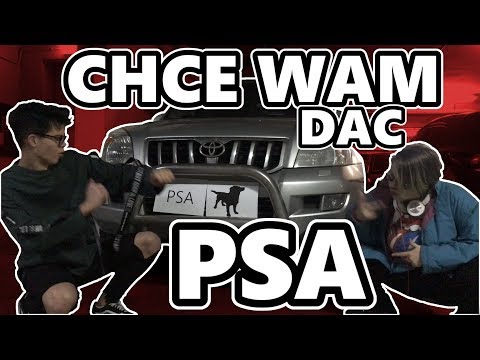 CHCE WAM DAĆ PSA
