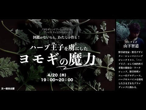 銀色のよもぎ 植物