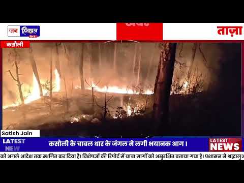 Kasauli Forest Fire: चाबल धार के जंगलों में भीषण आग, Forest Team Alert