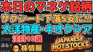 【株投資•STOCKS】『サクシード』まさかS安⁉調整か終了か⁉,『キオクシア』下落どうなる⁉,『太洋物産』上昇へ⁉,Japanese Hot Stocks【掲示板トレーダー】