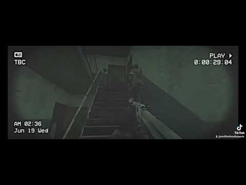 Chernarussian special forces raiding a new south zagoria building killing almost every terrorist