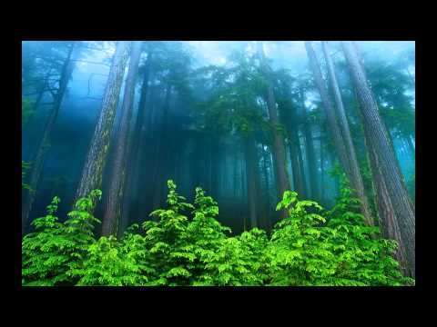 Digitalian - Unexpected