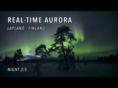 Real-Time Aurora Borealis Above Frosty Pine Silhouettes in Ylläsjärvi, Lapland  – Night 2/5 [4K]