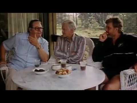 Interview med Olsen Banden (1984)