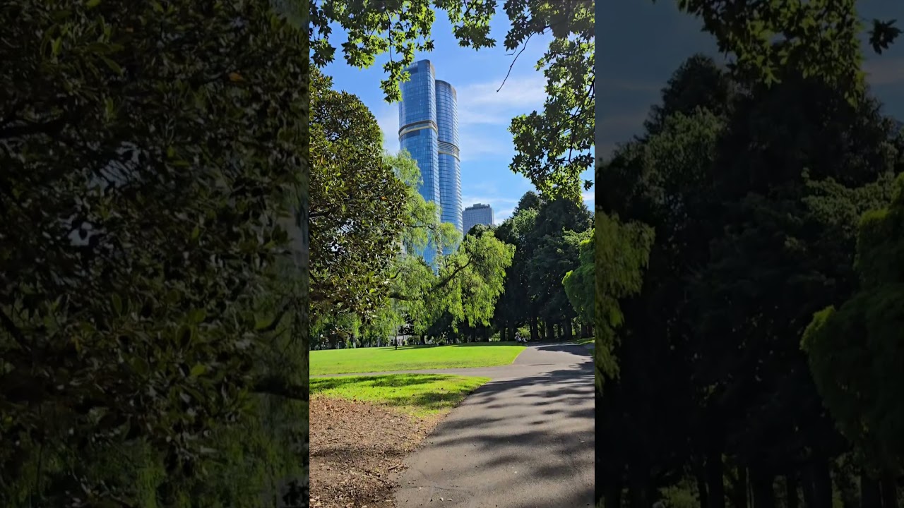 YouTube Short thumbnail