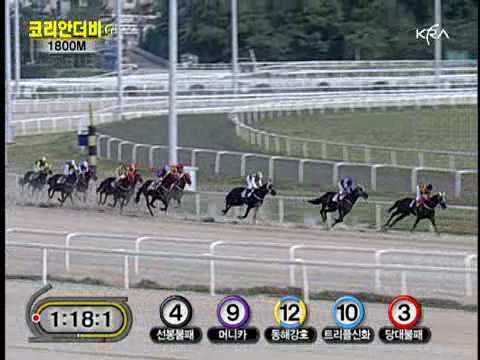 2010 Korean Derby (G1) - Cheonnyeon Daero