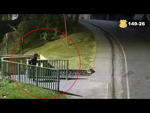 149. Sospechoso de Homicidio en Curridabat, San José.