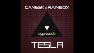 Canesk & Rainbox Tesla (Out on September 14)