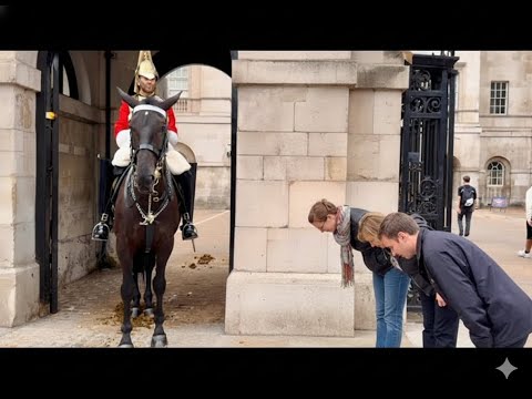 Nichts kann sie ablenken: Die unfassbare Reaktion der Königs-Garde auf die lachende Menge!