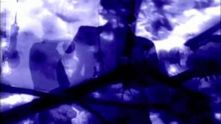 Tender Music Video