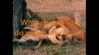 Ohtaywhattimeisit Video Video Soobshestvo