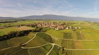 preview picture of video 'Arnex-sur-Orbe, Vignoble'