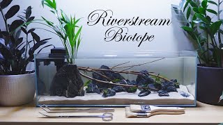 I made a River Stream Biotope Fish Tank