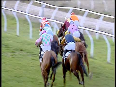 Galoppo 05/03/2019 - 3ª corsa