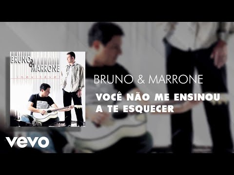 Bruno & Marrone - Você Não Me Ensinou a Te Esquecer (Áudio Oficial)