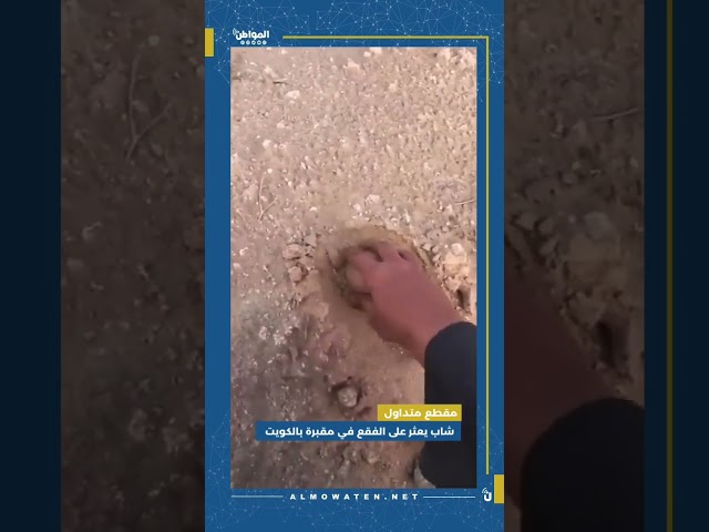 شاب يعثر على الفقع في مقبرة بالكويت