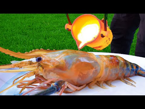 LAVA vs Rainbow LOBSTER