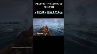 メジロザメ捕まえてみた！【アサシン クリード ブラック フラッグ RE:シンクロ】short用 #ゲーム実況 #shorts #shortvideo #short #アサクリ