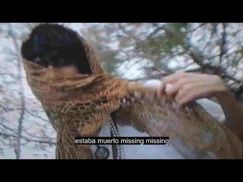 Shyguy444 - EasyEasy