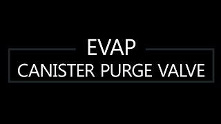 EVAP Canister Purge Valve DIY replacement for 2008 Acura MDX