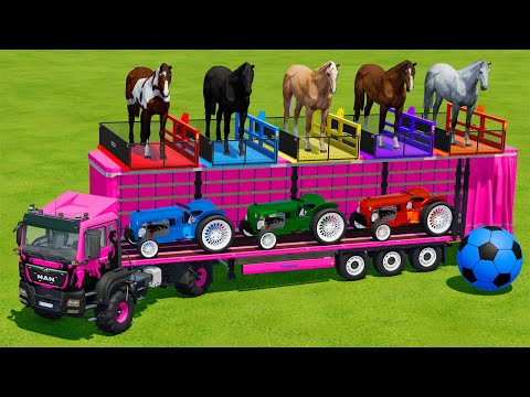 TRANSPORTING HORSES & FORD MINI TRACTORS WITH MAN TRUCKS - Farming Simulator 22
