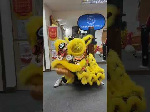 HKSCSA 技擊醒獅練習訓練班 #商場表演 #dance #派對演出