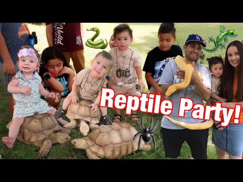 Reptile Party!