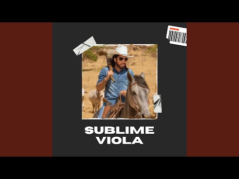 Baianinho - Dalvan Ferraz