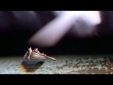 Karel Gott - A Lot Of Rain (1988) Stowaways On The Ark OST [Remastered]