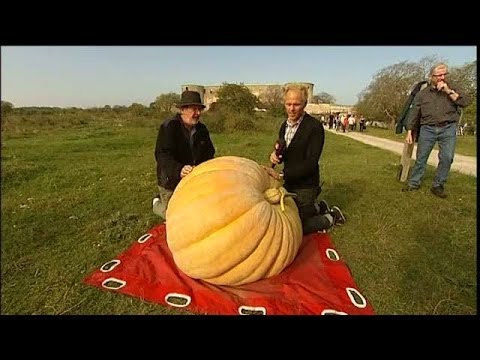 Jättepumpa i Mitt kök - TV4