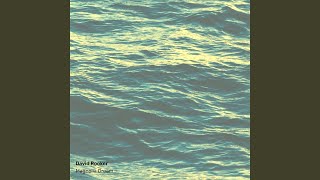 David Rooker - Magnolia Dream video