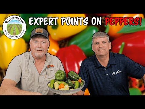 , title : 'Expert Pepper Gardening Tips'